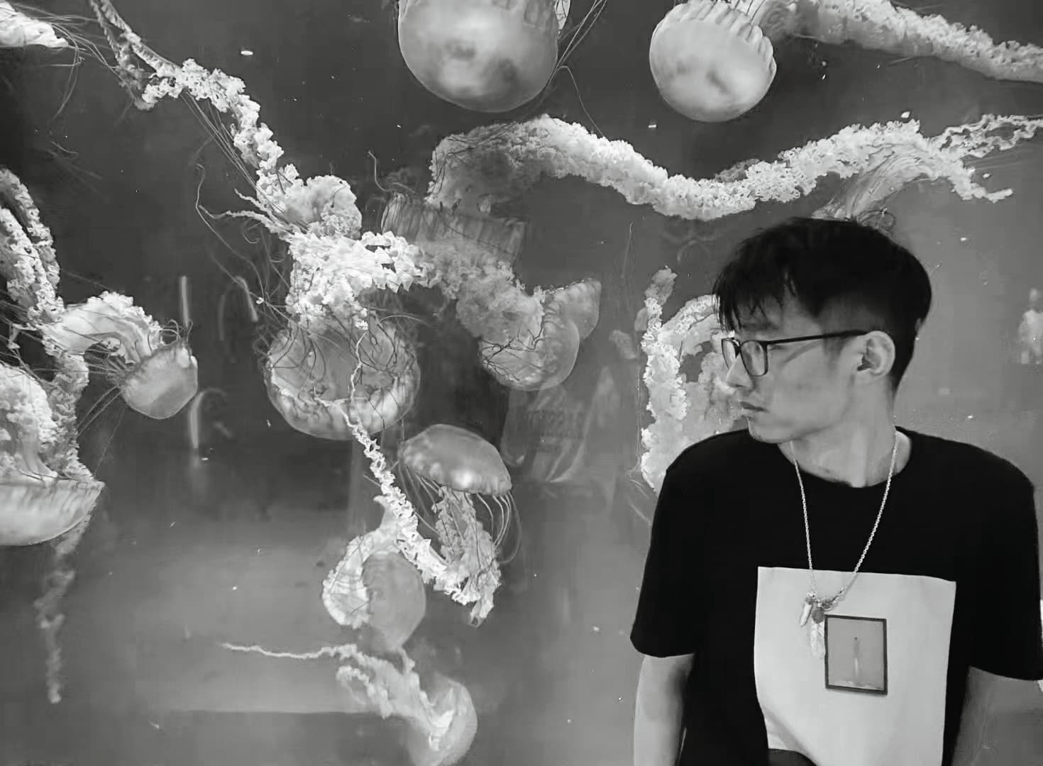 孟晓阳